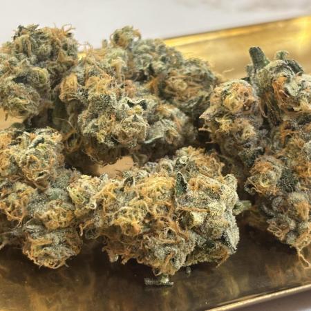 🌱 Crop_Top - 1st Grow EVER 🌱