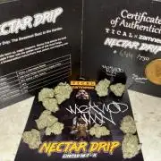 Nectar Drip - High Pressure Aeroponics