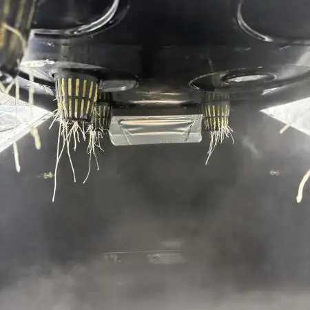 Blue Zushi - Dutch Passion - Aeroponic