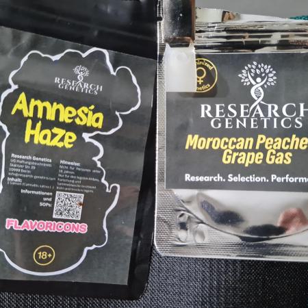 research-genetics.com (Indoor)
