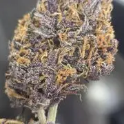 Lemon Cherry Cookies Auto