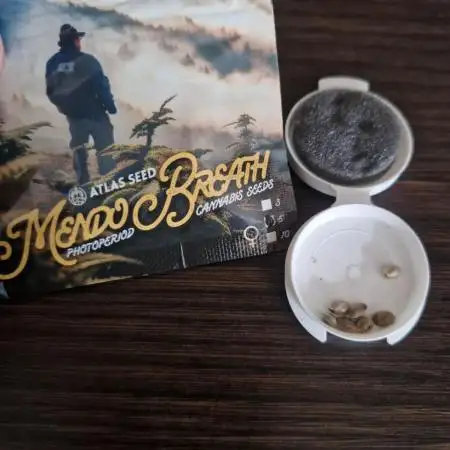 Mendo Breath by GanjaMan