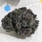 Guerrilla fastbuds🇮🇹