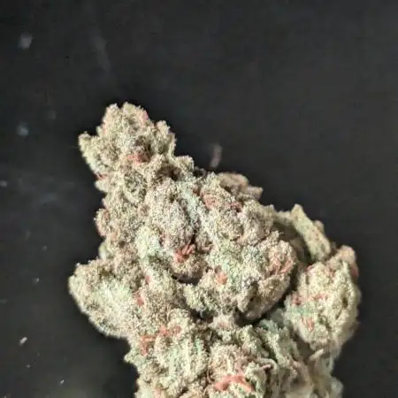 Guerrilla fastbuds🇮🇹