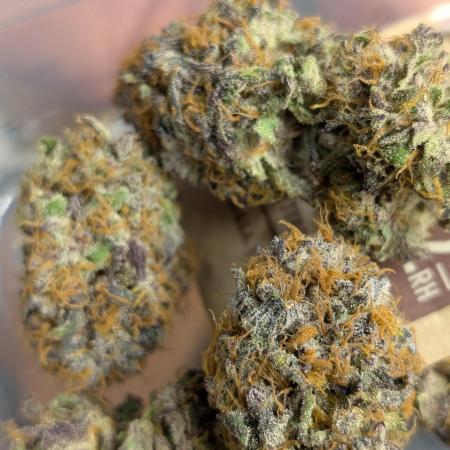 Papayton | Gorilla Melon