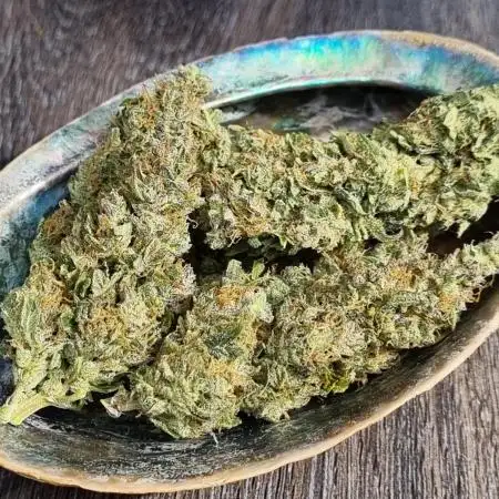 GG#4 Original Glue Auto (Kiwi, Organic)