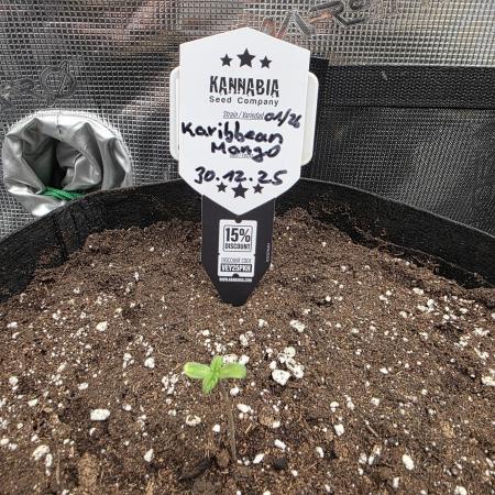 Canna-Community.de Kannabia Run 01/2026