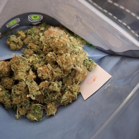 Dutch Passion Master Kush