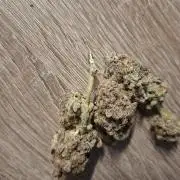 Bruce Banner (Dark Horse)