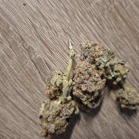 Bruce Banner (Dark Horse)