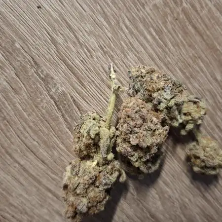 Bruce Banner (Dark Horse)