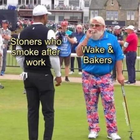 Memes