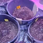 Automatic Run