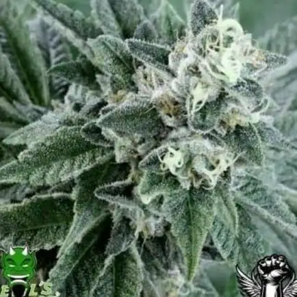 SOur Strawberry