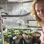 3rd Grow
