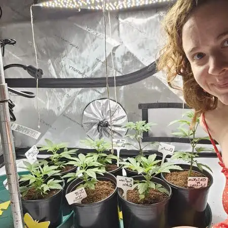 3rd Grow