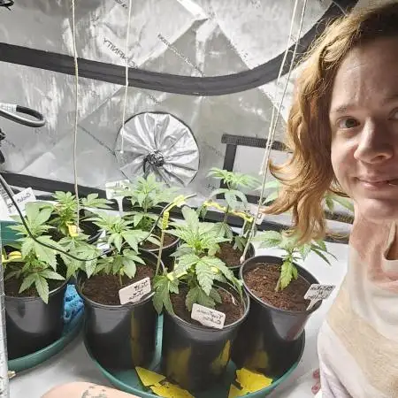 2nd Grow