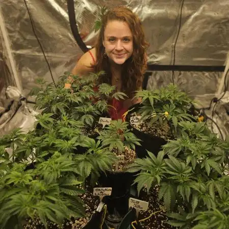 2nd Grow
