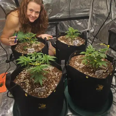 2nd Grow