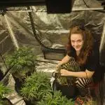 2nd Grow
