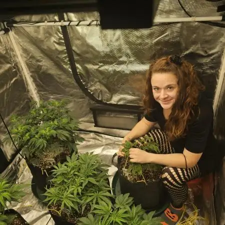 2nd Grow