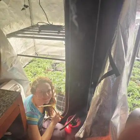 3rd Grow