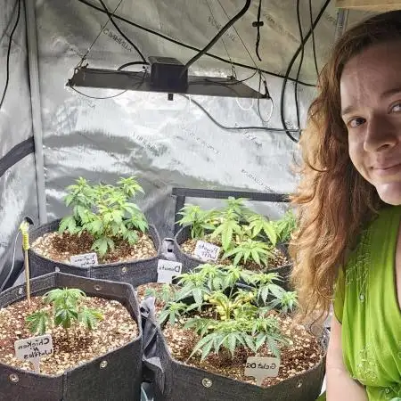 3rd Grow