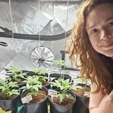 2nd Grow