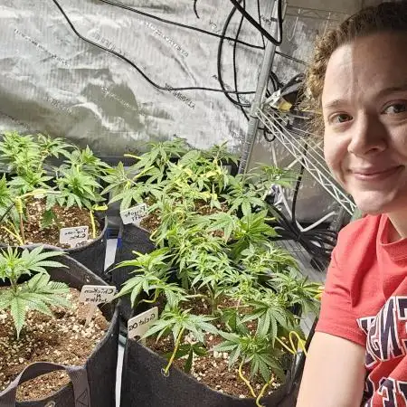 3rd Grow