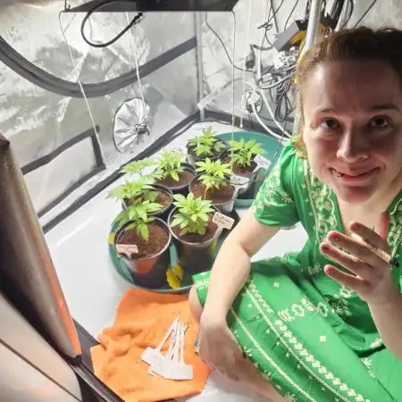 2nd Grow