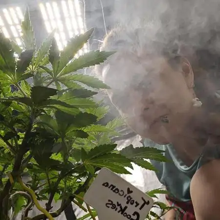 3rd Grow