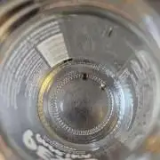 Blueberry Auto Fastbuds run