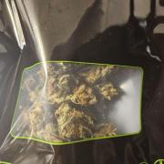 RF3 mixpack fastbuds run