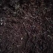 purple nuggys ^^ mephi gen.