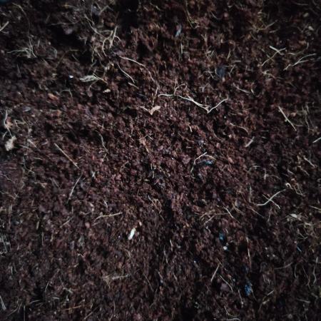 purple nuggys ^^ mephi gen.