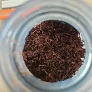 Bleuberry f2b 3.0 (absolute last try)