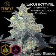 Skunktrail fem
