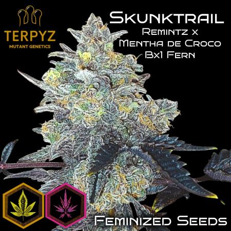 Skunktrail fem