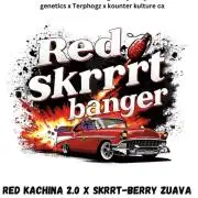Gelato🍦Sherbinskis & Red Skrrrt Banger