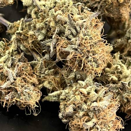 Cloud walker on Mars