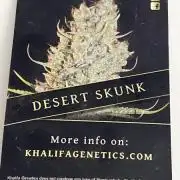 Desert Sk