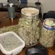 Gorilla & Northern Lights