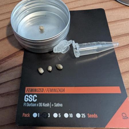 Girl Scout Cookies - Kannabia