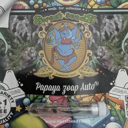 Papaya Zoap Auto - G2