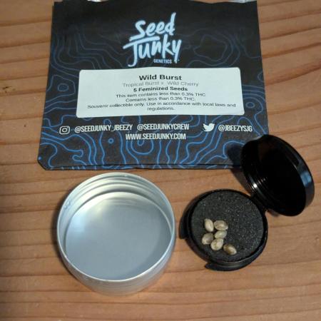 Wild Burst - Seed Junky