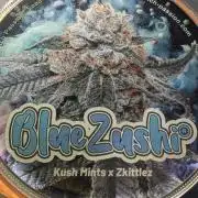 Blue Zushi - Dutch Passion