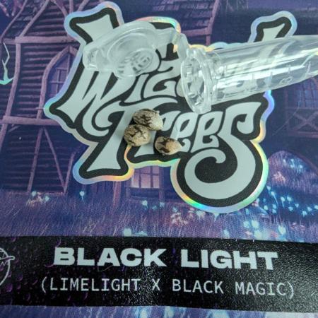 Blacklight - Wizard Trees