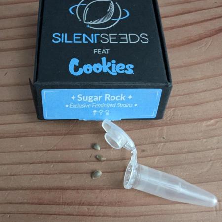 Sugar Rock - Silent Seeds