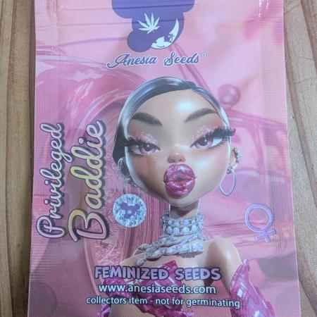 Privileged Baddie - Anesia Seeds