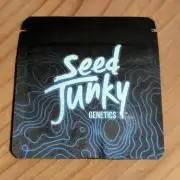 Wild Burst - Seed Junky